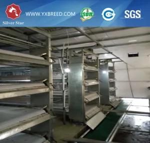 Poultry Farming Cages Equipment Made in China