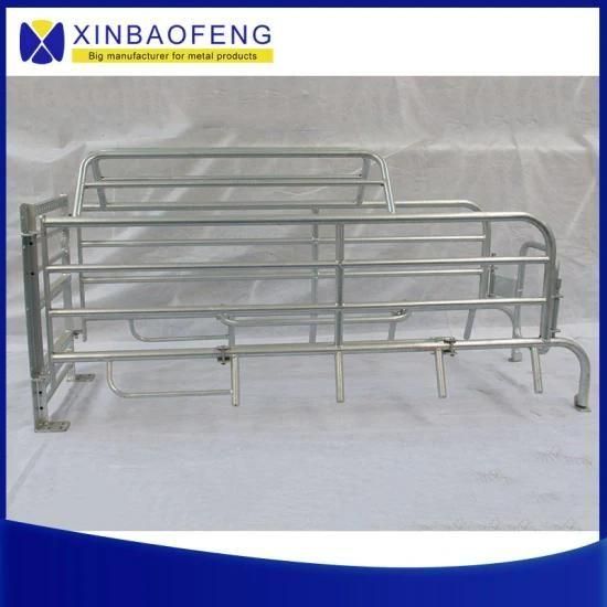 Factory Price Farrowing Crate or Stall for Swine