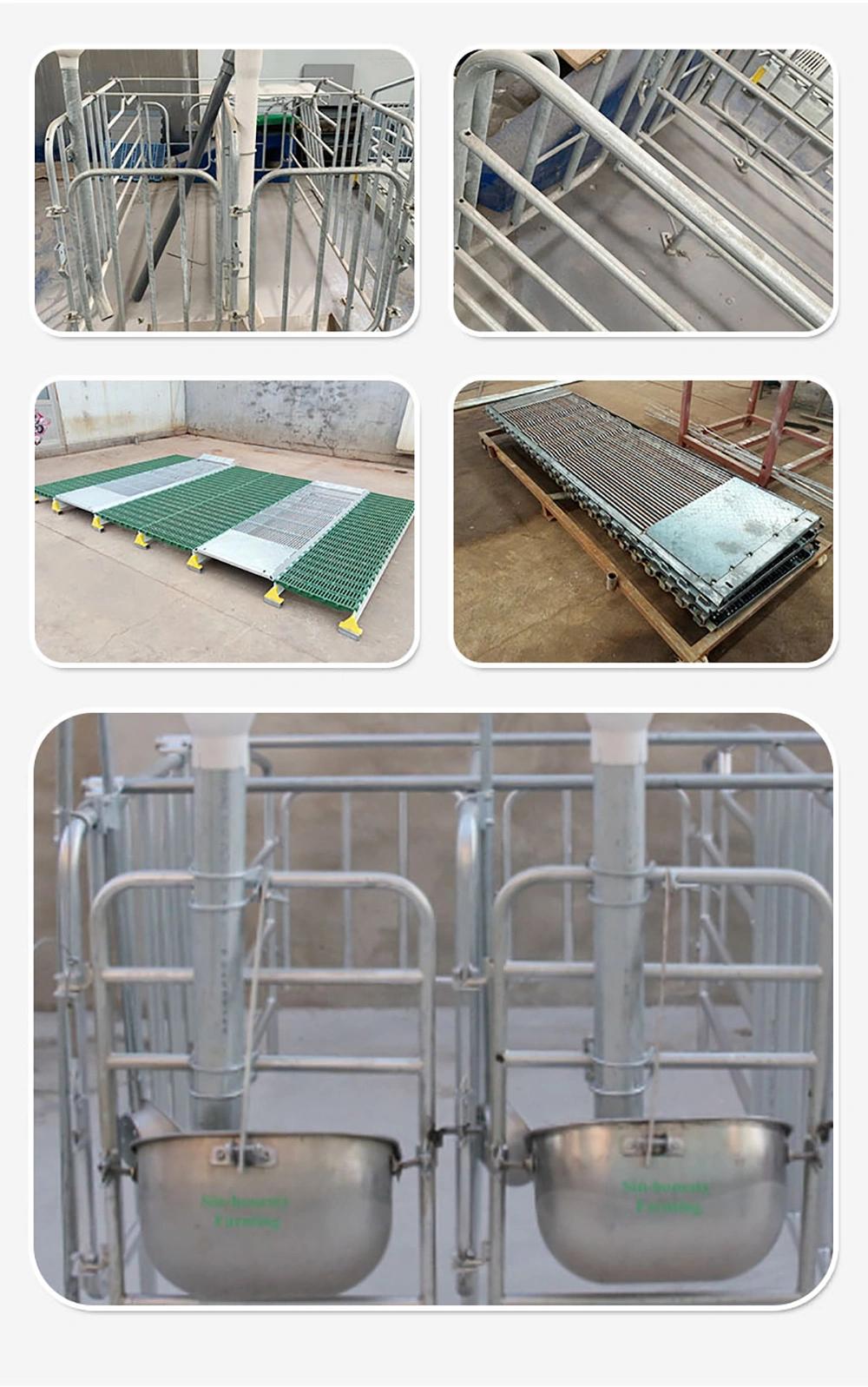 Sow Gestation Bed Galvanized Pig Farrowing Crates Pen Pig Flooring Stall Farrowing Beds