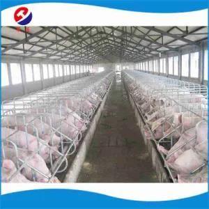 Wholesale Hot DIP Galvanized Serviceable Gestation Crate Sow Stall