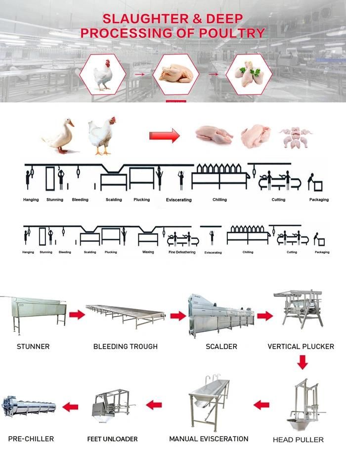 1000bph Chicken Slaughtering / Poultry Slaughterhouse Poultry Equipment