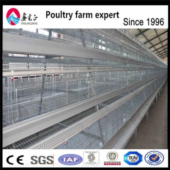 Africa Best Price Automatic Layer Chicken Cage for Sale