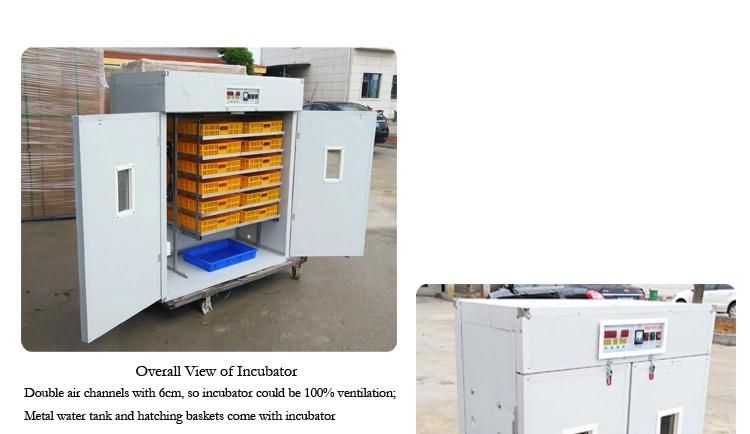 Popular Full Automatic Industrial Quail Incubator with Heater in USA