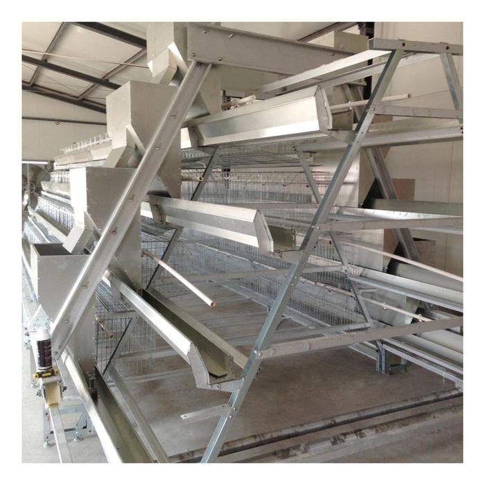 Commercial Galvanized Good Price a Type Layer Chicken Cage