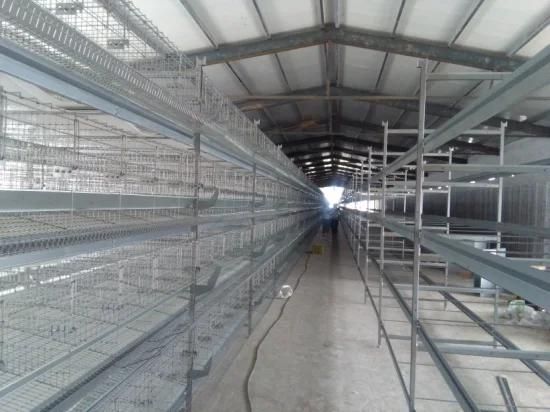 a/H Frame Feeding Cage for Broiler Chicken /Chicken Cage Broiler Equipment