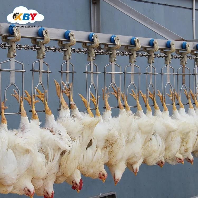 Halal Chickens Slaughter Processing Line Slaughterhouse