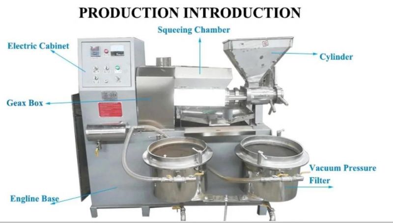 Automatic Sunflower Seed/Cottonseed/Soybean/Peanut/Rapeseed Screw Oil Press Processing Machine