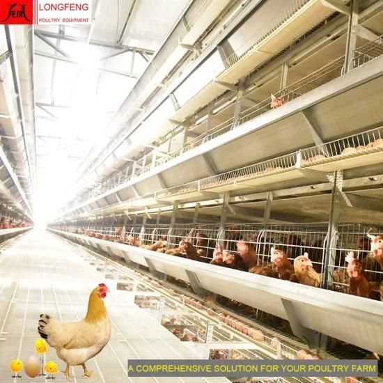 Hot Sale Large Scale Poultry Farming 96 Birds-384 Birds Per Set, 3-12tires