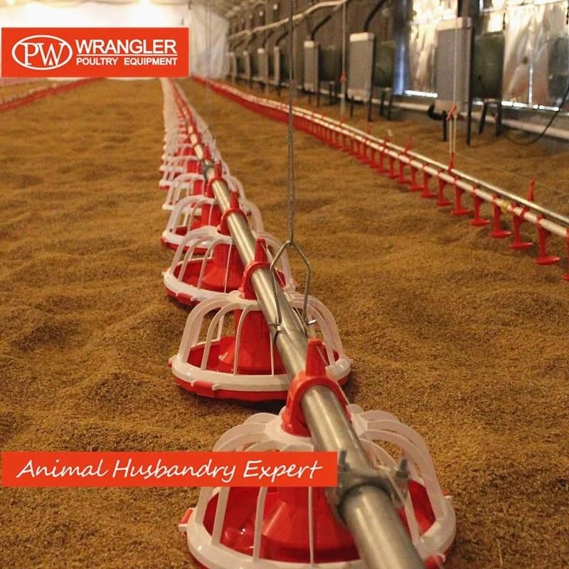 Poultry Farming Breeder Chain Feeding System Cheap and Strong