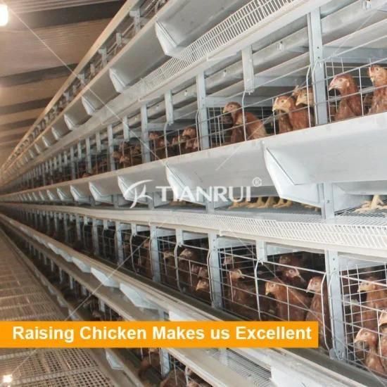 Chicken farm project poultry cage equipment for sale