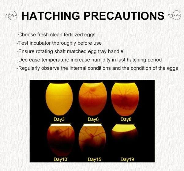 Yz-36 Multifunction Chicken Egg Incubation Poly Foam Protection