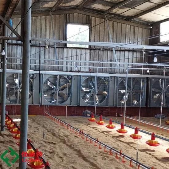 China Chicken/Poultry Farm Feeding System Equipment for Broiler