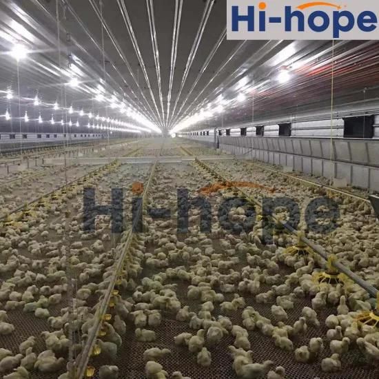 Prefabricated Building Steel Frame Construction Structure Poultry Farm Broiler Prefab ...