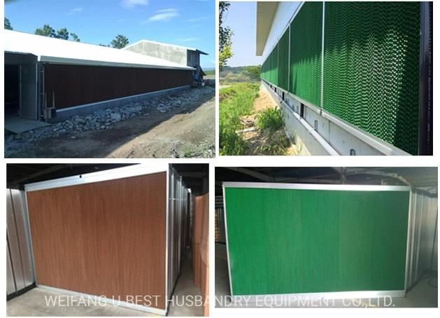 High Quality Insulated Wall Roof Panel Poultry House Design Philippines for Broiler and Breeder Chicken