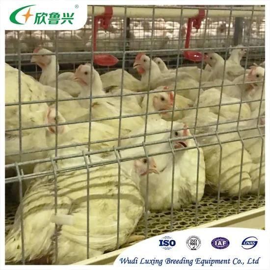 Manufacturing Livestock Machinery Poultry Cage Battery Hen Bird Cage for Laying Chicken ...
