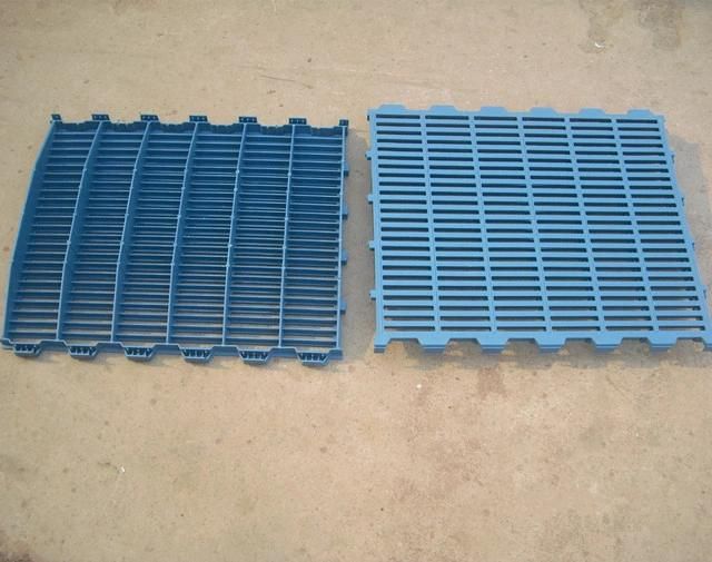 Plastic Flooring for Poultry Farming Used Plastic Floors for Pigs Sale