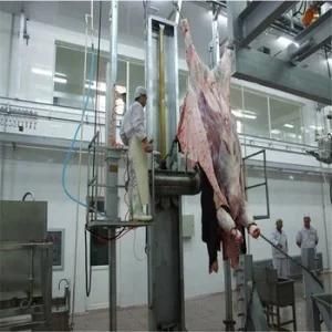Halal Slaughter Cattle Machine Rituelle Schlachtung