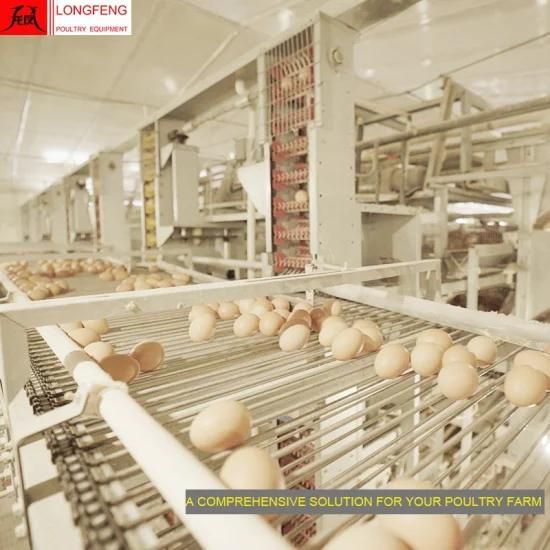 Dosing Medicine and Spray Disinfection Solar Egg Incubator Poultry Farming Equipment