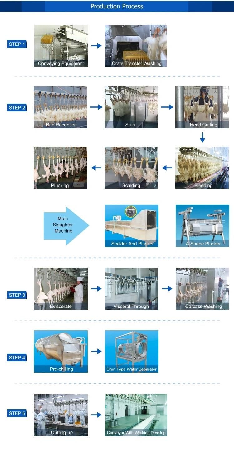 Poultry Abattoir Slaughterline Equipment for Chicken Meat Processing Plant