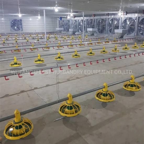 Automatic Poultry Farming Equipment for Broilers Breeders Chickens Products