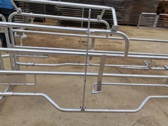 Pig Machinery Galvanized Pig Farrowing Crate