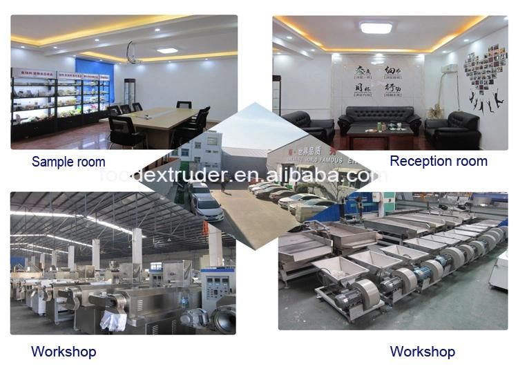 China Floating Fish Feed Pellet Machine Sinking Fish Food Processing Manufacturing Machinery Line