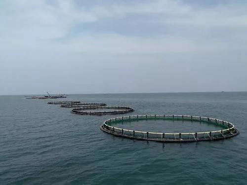 Aquaculture DEP Sea Opening HDPE Fishing Net Cage