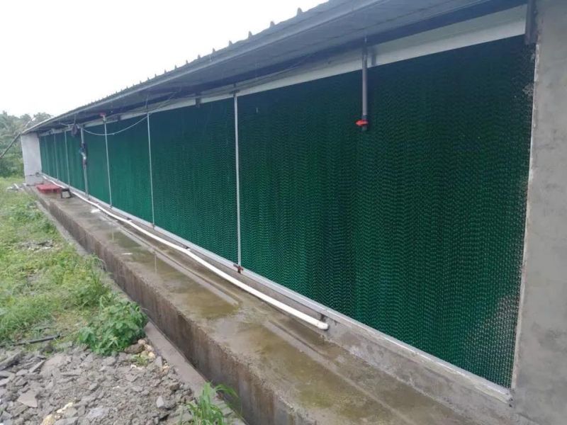 Prefabricated Economical Steel Structure Poultry Farming House Equipment for Broiler Breeder Chicken