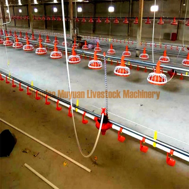 Floor Raising System Poultry Farm Equipment of Feeding Drinking Line