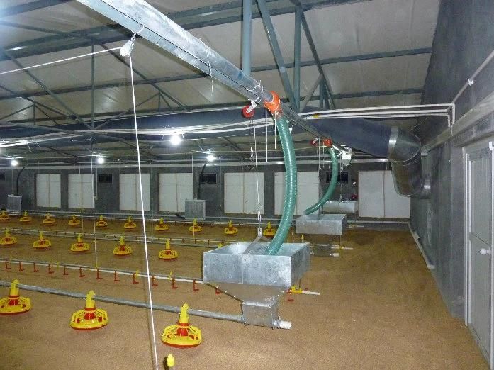 Complete Poultry Auto Feeding Equipment for Broiler / Breeder