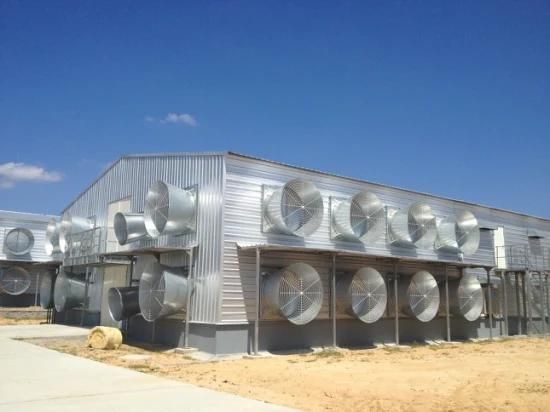 Industrial Shed Design Steel Structure Prefabricated Shed