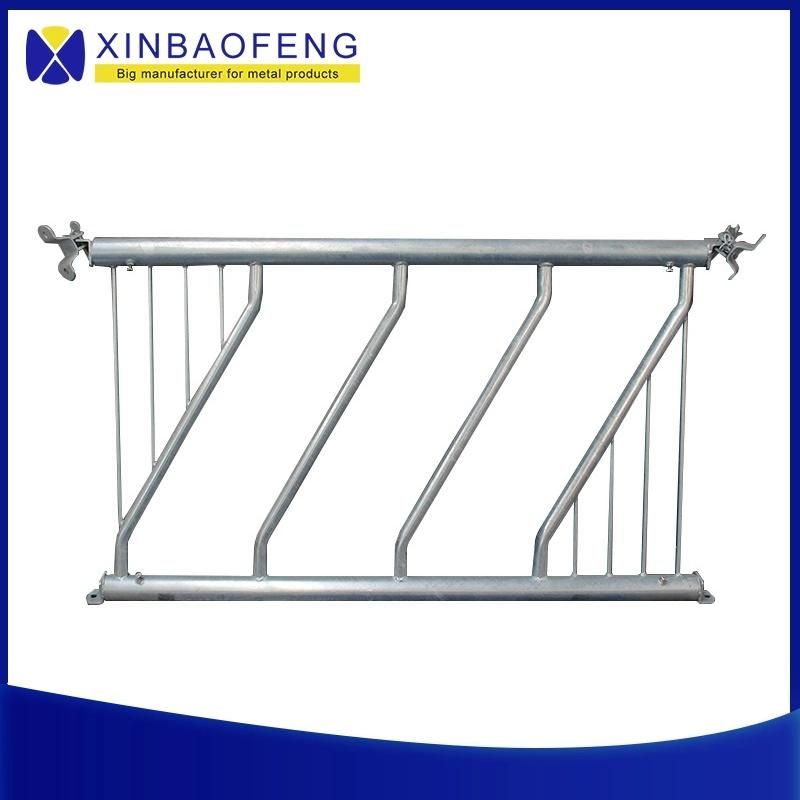 Hot DIP Galvanized Cow Comfortable Stalls Free Stall