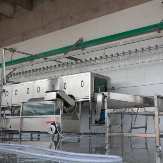 2020 New Duck, Chicken, Geese Slaughter Line / Poultry Slaughtering Machine for Different ...