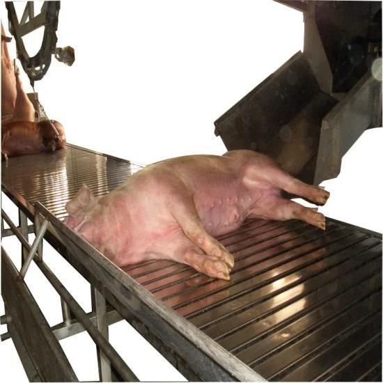 Pig Abattoir Slaughter Machine Pig Hog Swine Slaughter Equipment