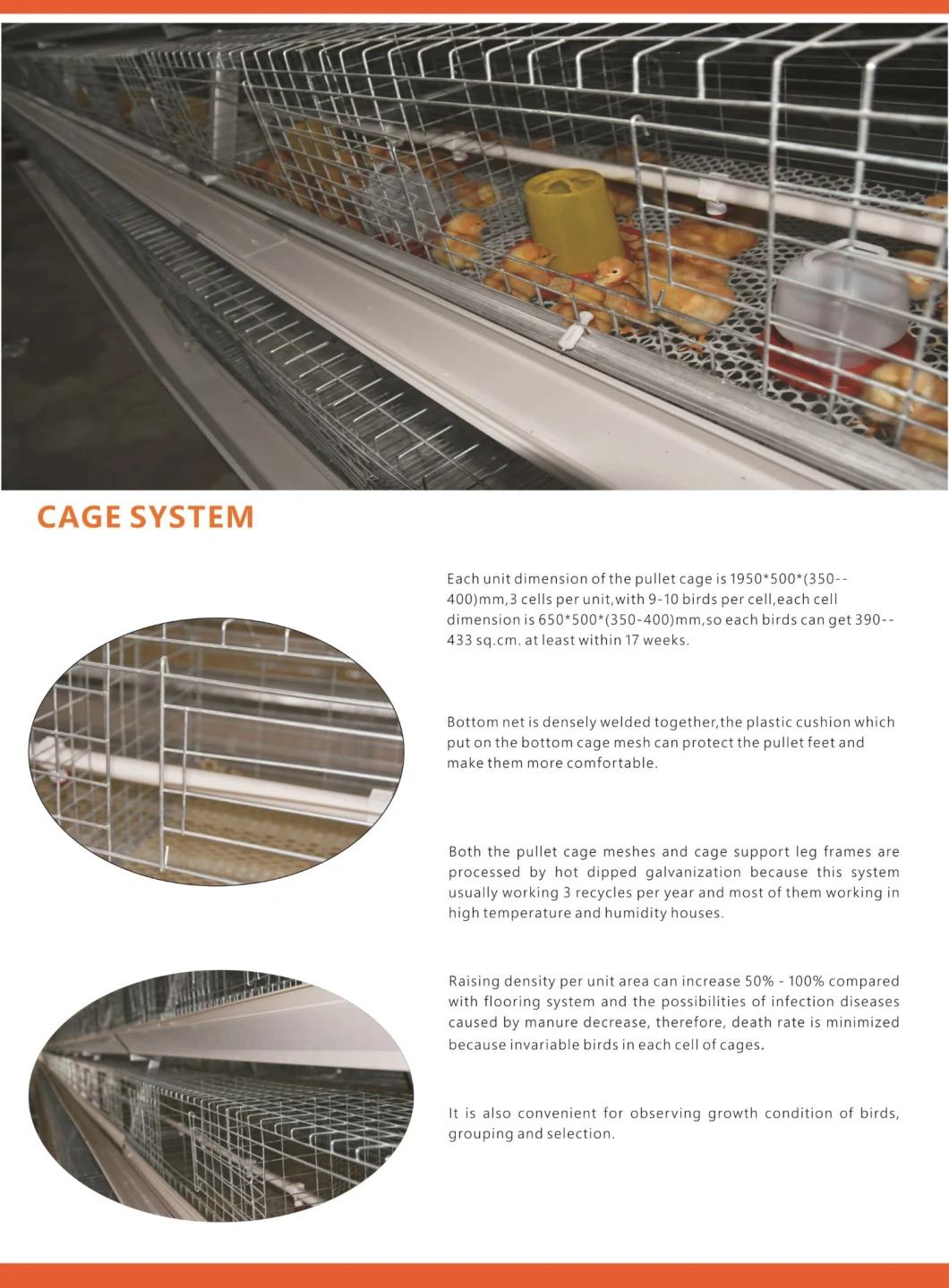 Automatic Galvanized Chicken Farm Battery Layer Cage Good Price