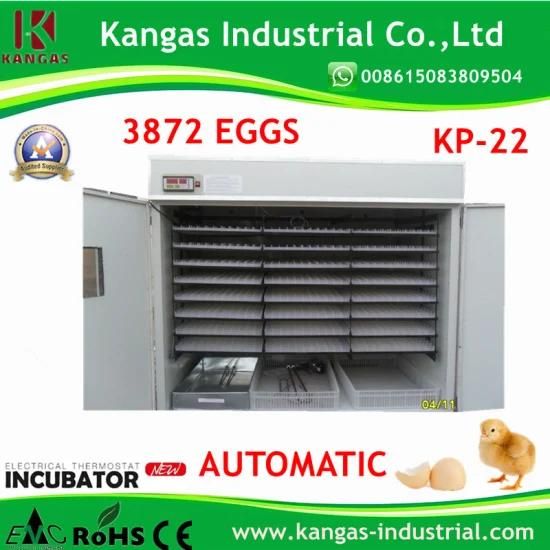 CE Proved Hot Sale Egg Automatic Incubator