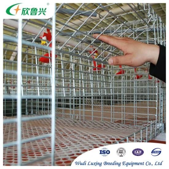 3 Tiers H Type Animal Feeder Chicken Farm Broiler Cages for Poultry Farm