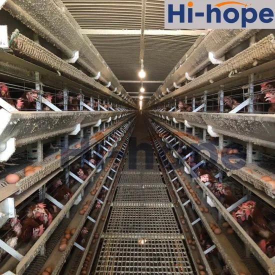 Layer Cages Automatic Poultry Battery Laying Hens Chicken Farm