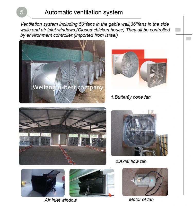 Automatic Chicken Drinking and Feeding System for Chicken Poultry Farming Equipment