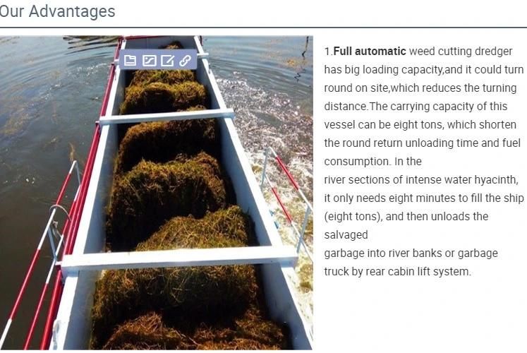 Water Weed Harvesting Vessel with Conveyor Belt and Storage Cabin
