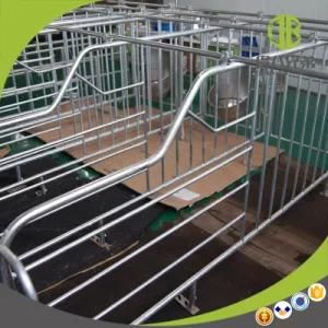 Gestation Stall or Individual Stall for Pigs Pig Farm Equipment