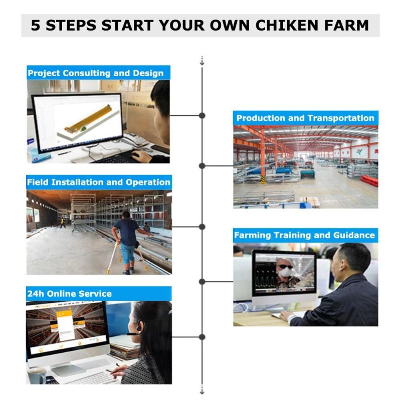 Poultry Equipment Layer Chicken Farming Cage