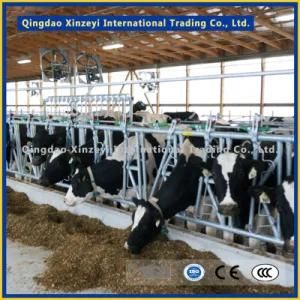 Hot Sale Top Quality Cattle Panel for Headlock