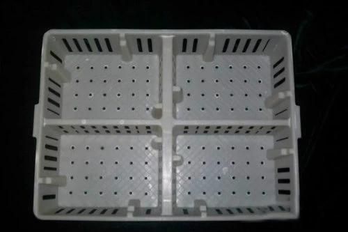 Plastic Transporting Chick Crate/Box for Chick