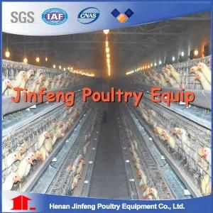 Automatic Poultry Layer Broiler Battery Chicken Cage