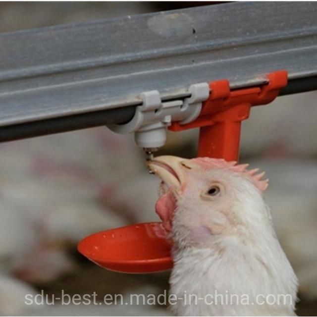 Chicken Farming Drinker Equipment in India with Chicken Nipple Drip Cup