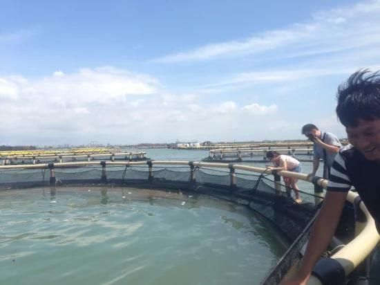 Pisiculture HDPE Bracket Floating Fish Farming Cage in Deep Sea