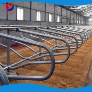 Cattle Cubicles Separate Free Cow Stalls for Livestock