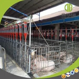 Factory Price Hot DIP Galvanzied Pig Gestation Stall for Sale