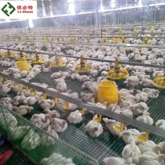Automatic Farm Chicken Feeding Poultry Equipment for Broiler